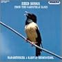 Bird Songs From the Carpathian Basin