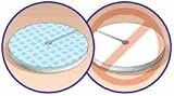 Biopatch Antimicrobial Dressing (Case)