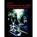 Cauldron of the Gods: a manual of Celtic magick