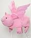 Pigs Can Fly Novelty Hat