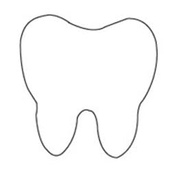 Tooth