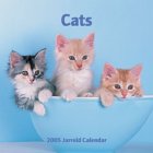 Cats Calendar 2005 (Square Calendar)
