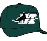Minor League Baseball Cap - Southwest Michigan Devil Rays Home Cap by New Era