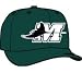 Minor League Baseball Cap - Southwest Michigan Devil Rays Home Cap by New Era