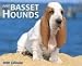 Basset Hounds Just Wall 2008