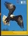 Books : Technology In Action (CCi, Corinthian Colleges, Ltd.)