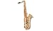 Maestro TrueTone Bb Tenor Saxophone Outfit