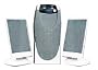 Flat Panel Speaker System with Subwoofer