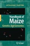 Lie semigroups and their applications