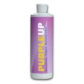 Carib Sea Purple Up Coralline Algae Accelerator 16 oz
