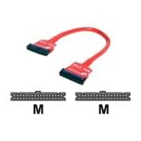 StarTech.com - Floppy cable - 34 PIN IDC (F) - 34 PIN IDC (F) - 0.3 m