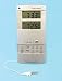 Talking In/Outdoor Thermometer