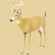 CARRYLITE EZ BUCK DEER DECOY