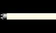 Coralife 80411 6700K T-5 High Output Fluorescent Lamp, 24-Watt