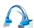 Coolerguys 4 Pin Y Splitter Blue UV Reactive