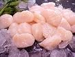 Fresh Dry Pack Large Scallops