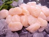 Fresh Dry Pack Large Scallops