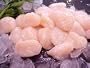 Fresh Dry Pack Large Scallops 3lb. pack