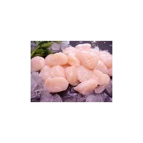 Fresh Dry Pack Large Scallops 3lb. pack
