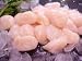 Fresh Dry Pack Large Scallops