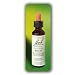 Bach - Flower Essence Beech - 20 ml