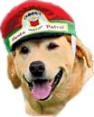 Santa Chimney Watch Patrol Hat by Plush Puppies