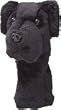 Image of Daphne's Black Lab