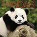 Pandas 2010 Calendar (Multilingual Edition)