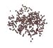 MUSTARD SEED, BLACK, 1.25 lb. jar