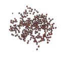Childrens Toyshop  Gourmet Food : MUSTARD SEED, BLACK, 1.25 lb. jar