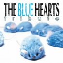 THE BLUE HEARTS TRIBUTE