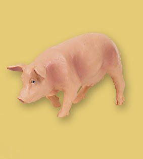 Childrens Toyshop  Toys : Papo - Pig