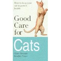 Good Care for Cats: How to Keep Your Cat in Perfect Health