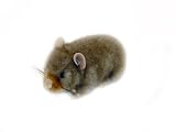 Hamster 15cm Soft toy Plush Dowman Soft Touch
