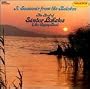 Souvenir From the Balaton