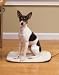 Pet Product PHP00-10890 PetSafe Heated Pet Pad - Small Dog