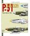  : P 51 MUSTANG : From 1940 to 1980 (Planes and Pilots) (Planes and Pilots)