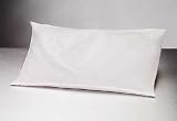As Seen on TV Incredible Buckwheat Pillow 29002-EH10