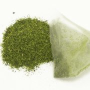 Cold Brew SenCha Green Tea Bags