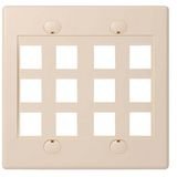 12PORT Ivory Double Gang Faceplate