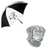 Chesapeake Bay Retriever Umbrella by Porcelain by Rosalinde (60' Arc)