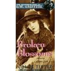 Broken Blossoms (1919) (Silent) (B&W) [VHS]