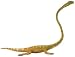 Carnegie Collection Tanystropheus