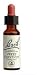 Sweet Chestnut Tincture 20 ml, 0.70 fl. oz.