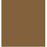 Bulk Buy: Darice Foamies Foam Sheet Brown 2mm thick 9 x 12 inches (10-Pack) 1144-17