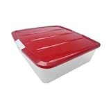 IMAGE OF Iris Holiday Box with Buckle-Up Lid - Set of 2 (Clear/Red) (6.25