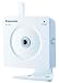 Wireless Network Camera