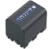 Sony NP-QM71D M-Serie Lithium-ionen Akku (2760 mAh) schwarz