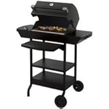 IMAGE OF EBQ Electric Grill