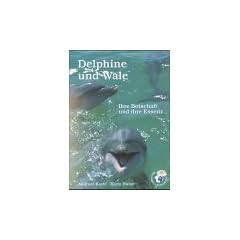 Delphine und Wale
